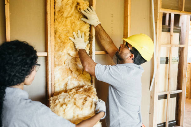 Insulation Contractors for Homes in St Augustine Shores, FL